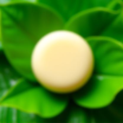 Barra redonda de shampoo sobre folhas verdes